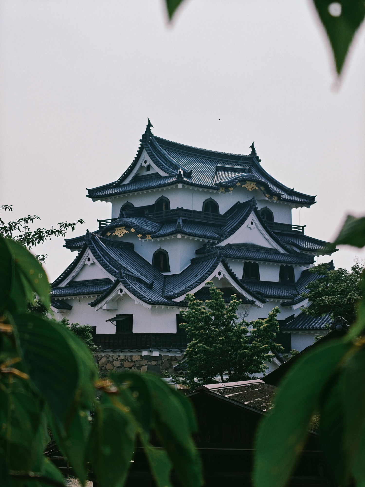 彦根城の天守